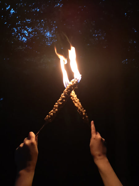 How to - Make Mullein Torches